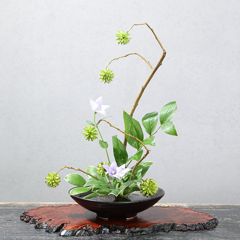 Japanese Frog Vase Ceramic Bou - Ikebana Vase Kenzan のレビューと価格