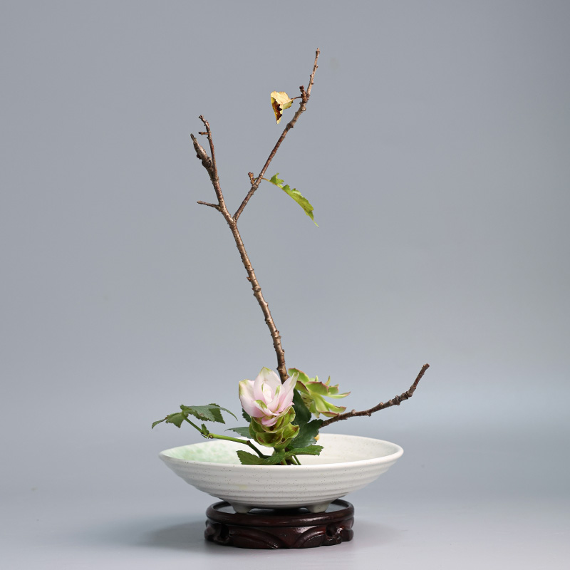 Japanese Frog Vase Ceramic Bou - Ikebana Vase Kenzan のレビューと価格