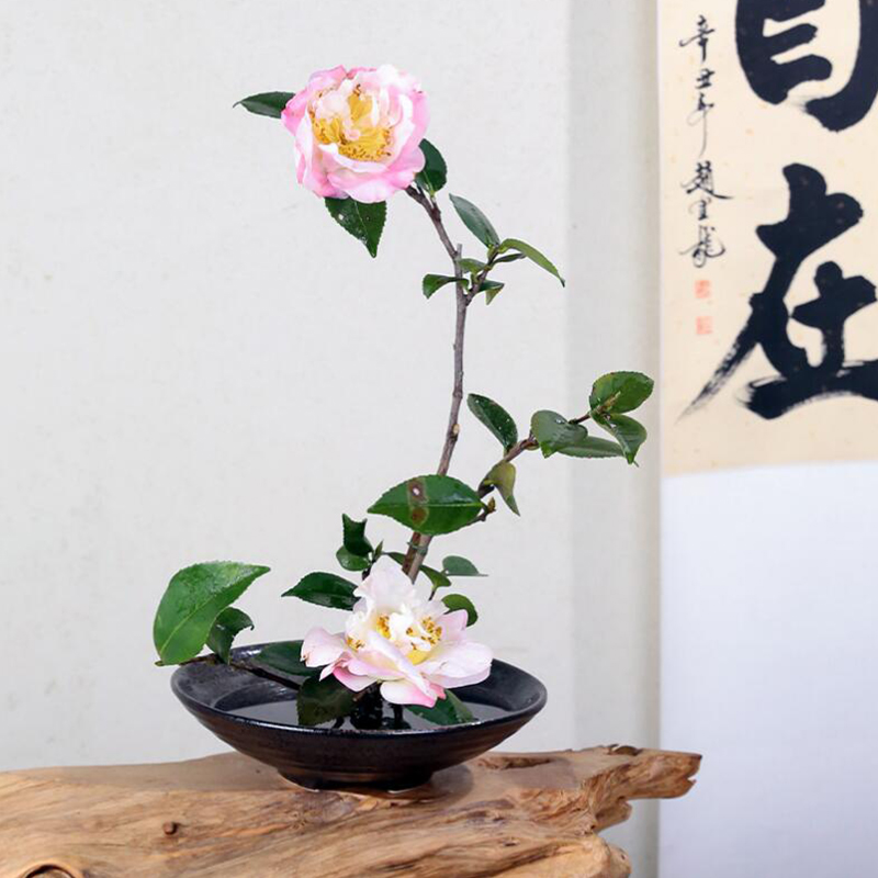 Japanese Frog Vase Ceramic Bou - Ikebana Vase Kenzan のレビューと価格
